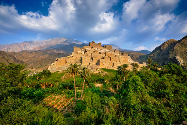 MIDU announces new strategic partnership