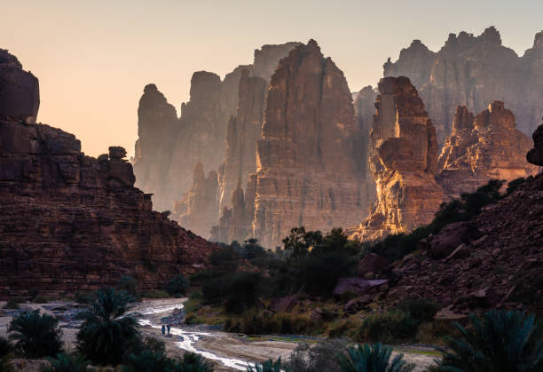 MIDU expands regional presence