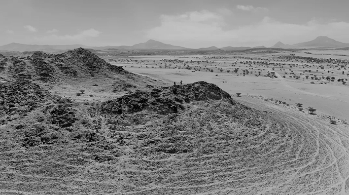 Adapting to Change with Resilience