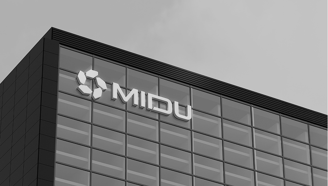 A Vision to Shape Saudi Development